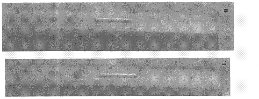 A kind of cover glass substrate transfer processing method