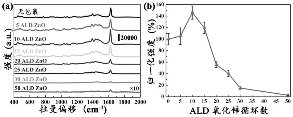 Surface-enhanced Raman substrate with both stability and Raman intensity and preparation method of surface-enhanced Raman substrate