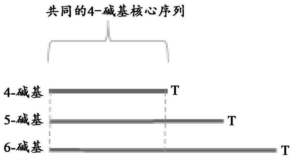 Methods and systems for high-depth sequencing of methylated nucleic acid