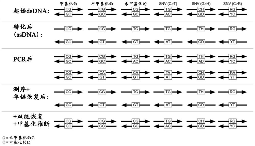 Methods and systems for high-depth sequencing of methylated nucleic acid