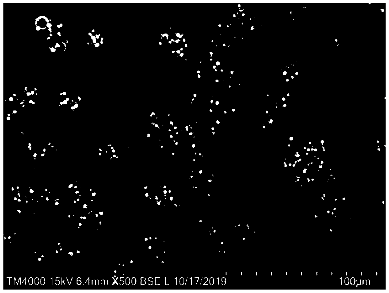 Riociguat oral application preparation and preparation method therefor