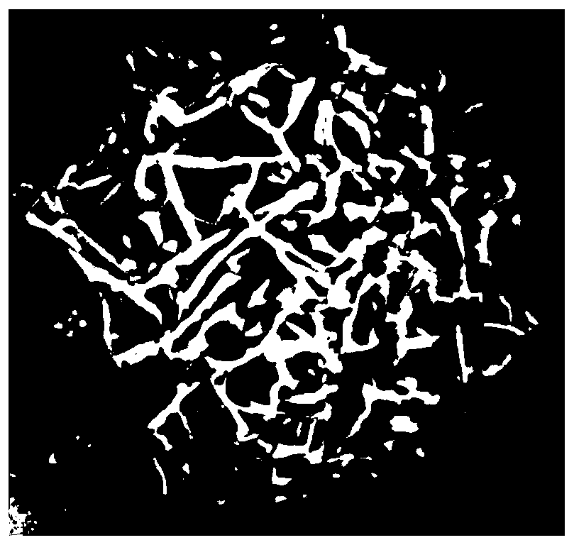 Riociguat oral application preparation and preparation method therefor