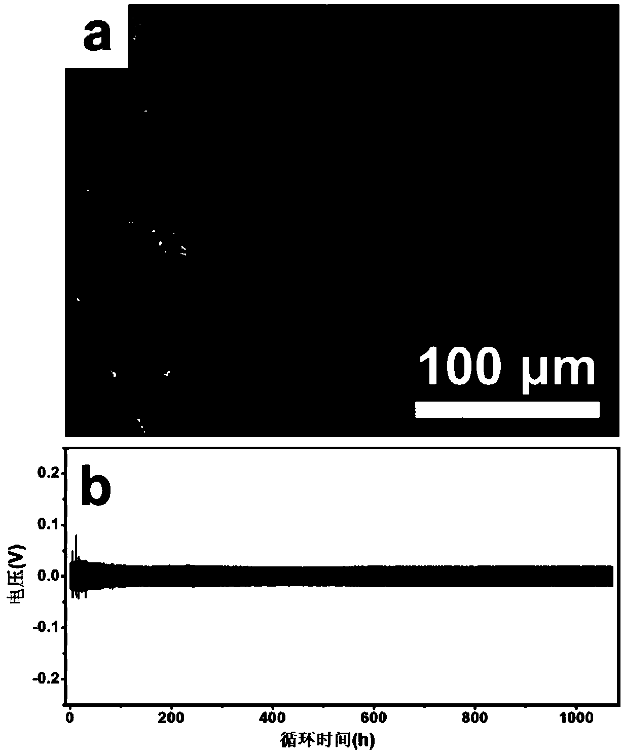 An electrolyte for a metal lithium secondary battery and a metal lithium secondary battery using the electrolyte