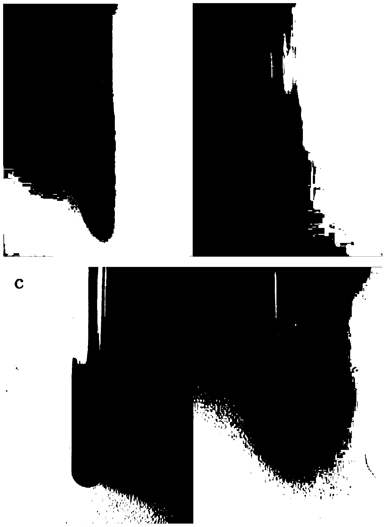 A kind of sulfonic acid functionalized graphene dispersion system and preparation method thereof