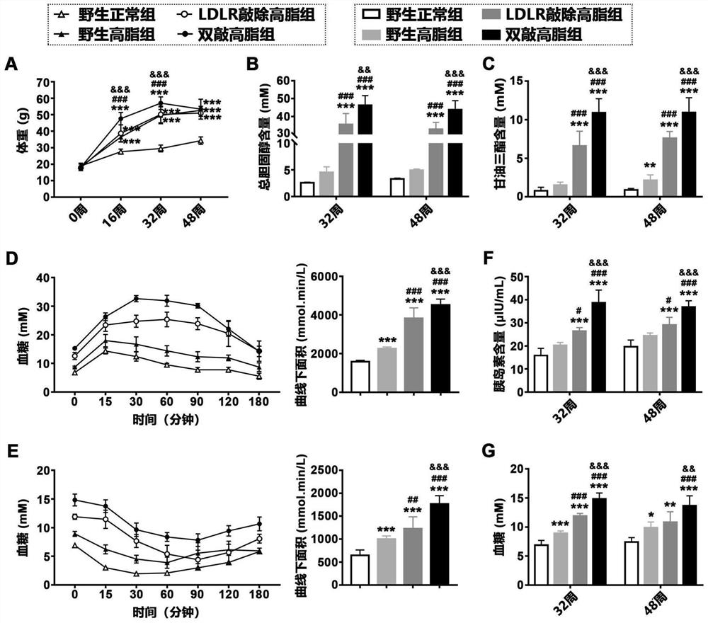 Construction method and application of non-alcoholic steatohepatitis mouse model based on PEDF/LDLR double-gene knockout