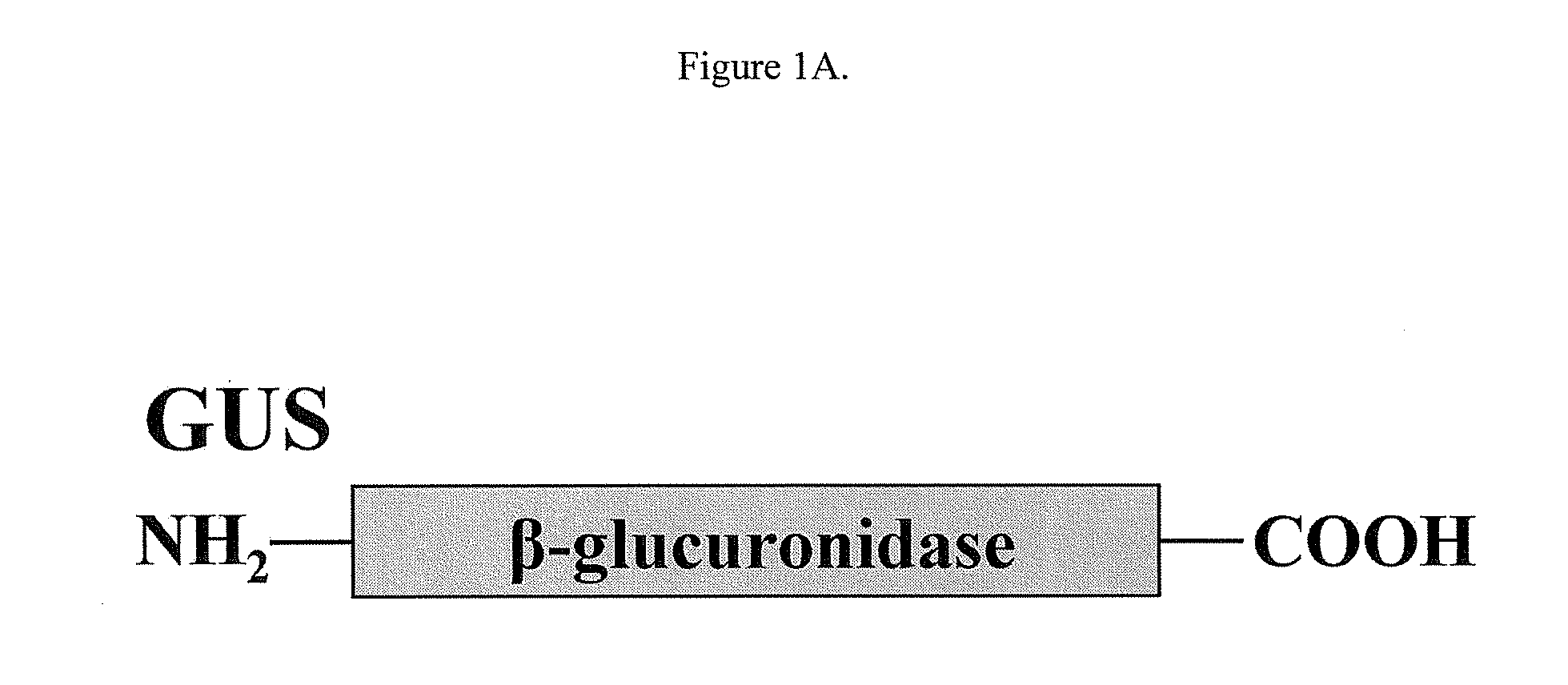 Modified  enzyme and treatment method