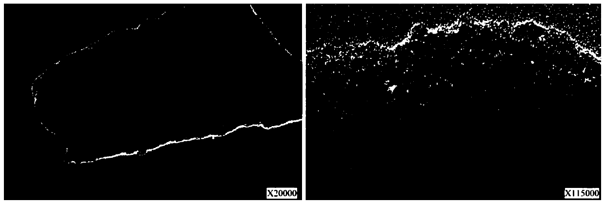 Li2FeSiO4@mesoporous carbon lithium ion battery positive electrode material and preparation method thereof