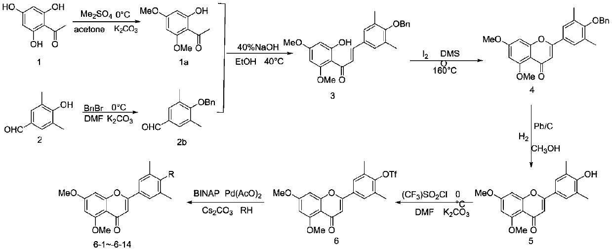 Flavonoid derivative with tumor cell inhibition and preparation method and application thereof