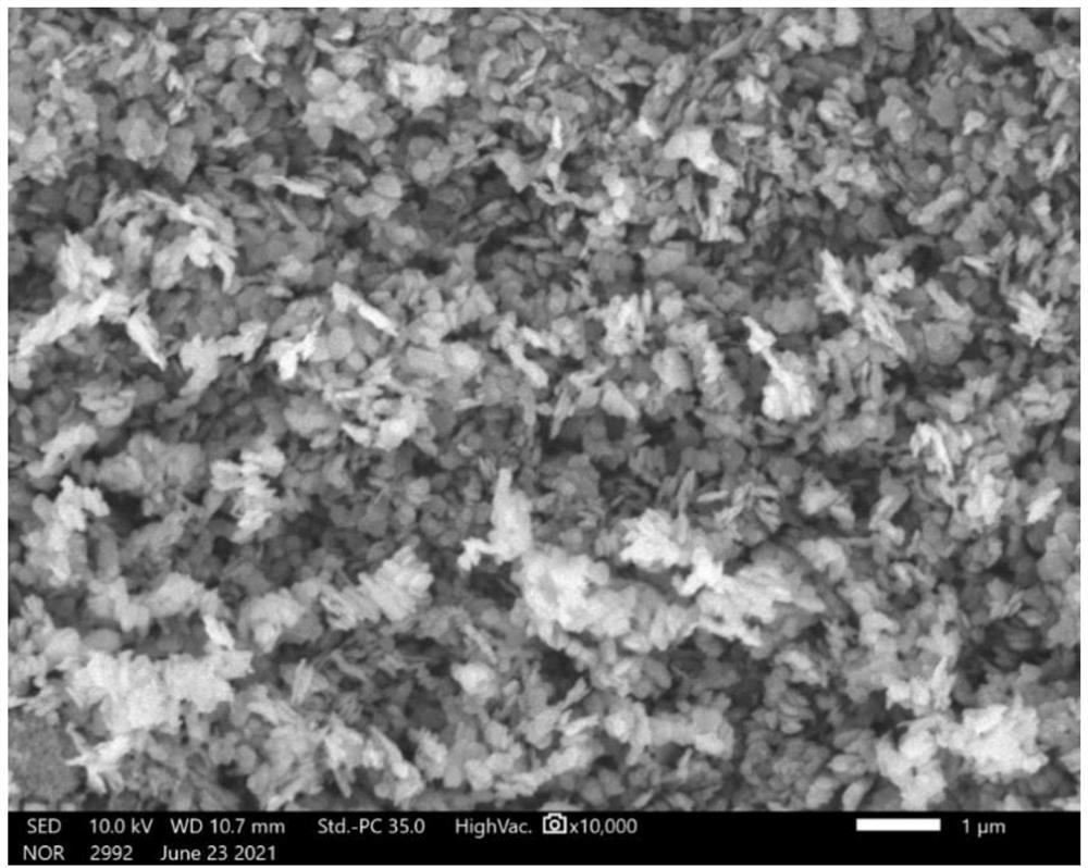 LLTO/nanosheet lithium cobalt oxide composite positive electrode material and preparation method thereof