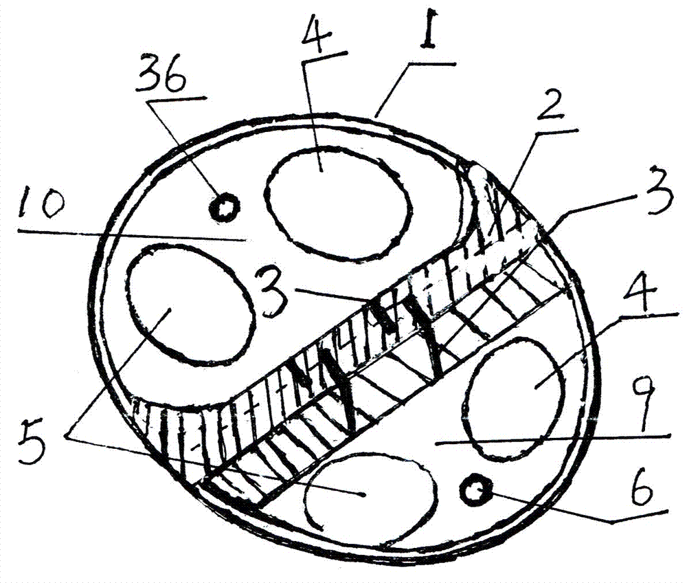 Zoned and layered thin combustion engine control device