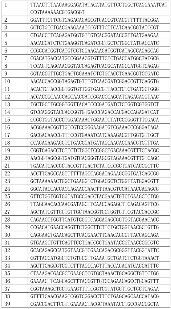 A mutant of thymidine phosphorylase protein