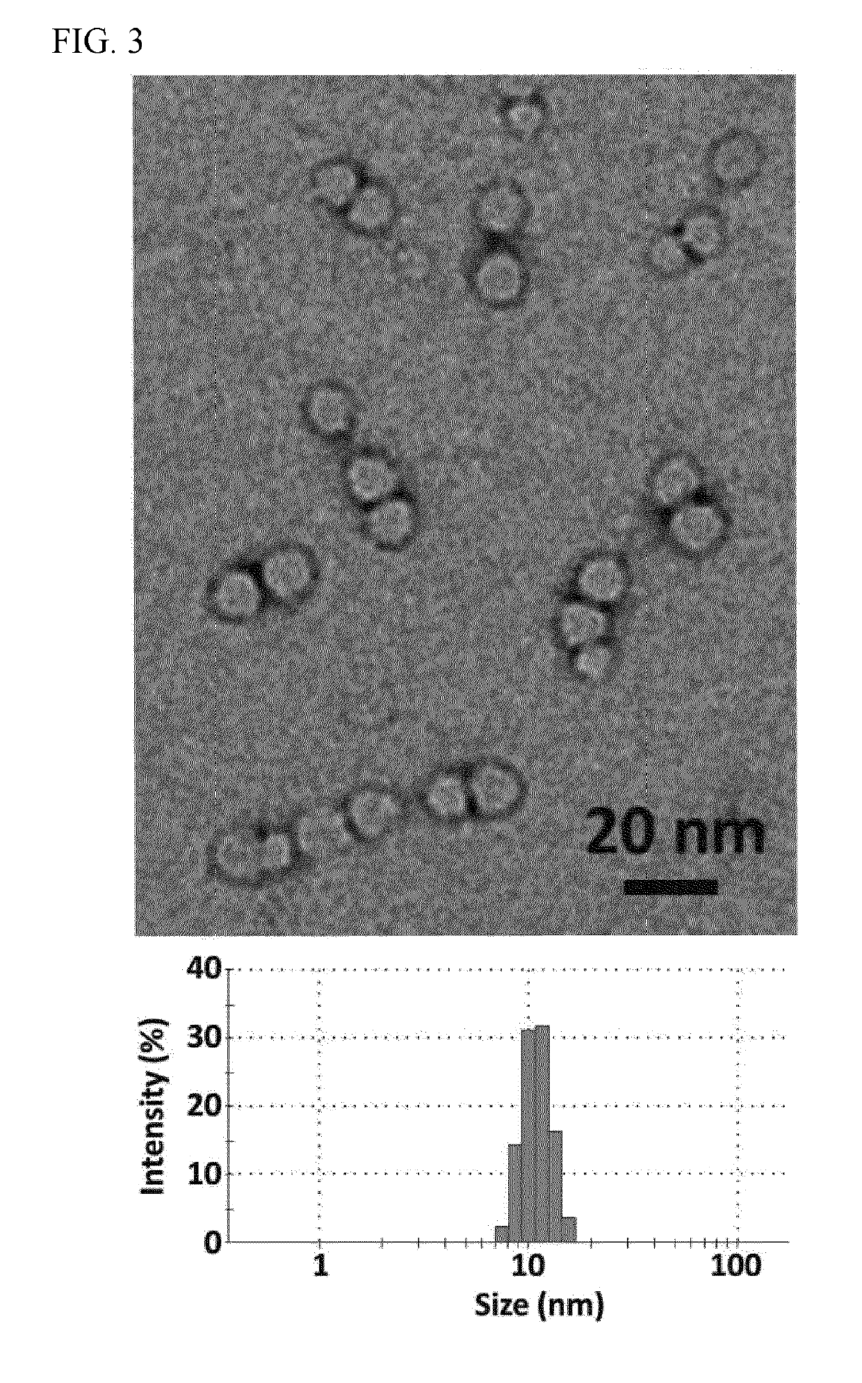 Nanocapsule delivery system for ribonucleoproteins