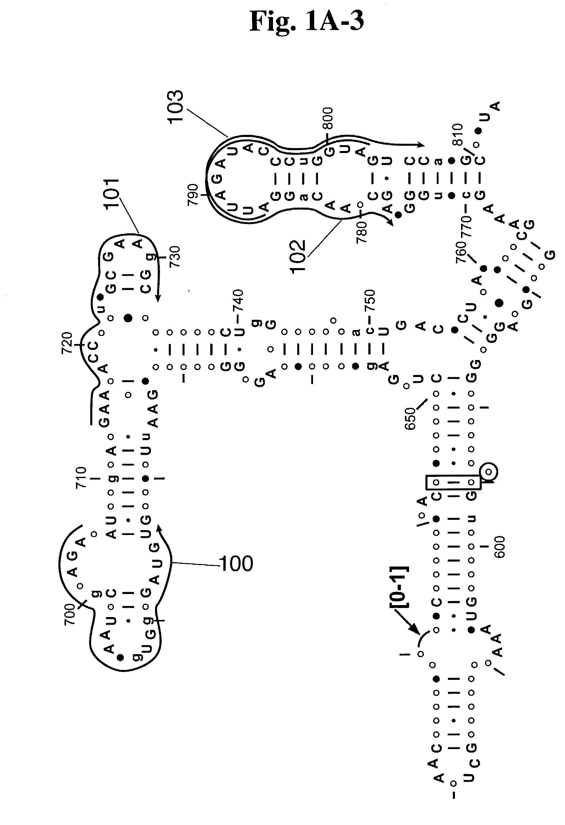 Methods for providing bacterial bioagent characterizing information
