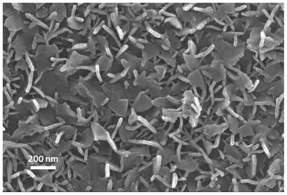 a fast growing sno  <sub>2</sub> nanosheet approach