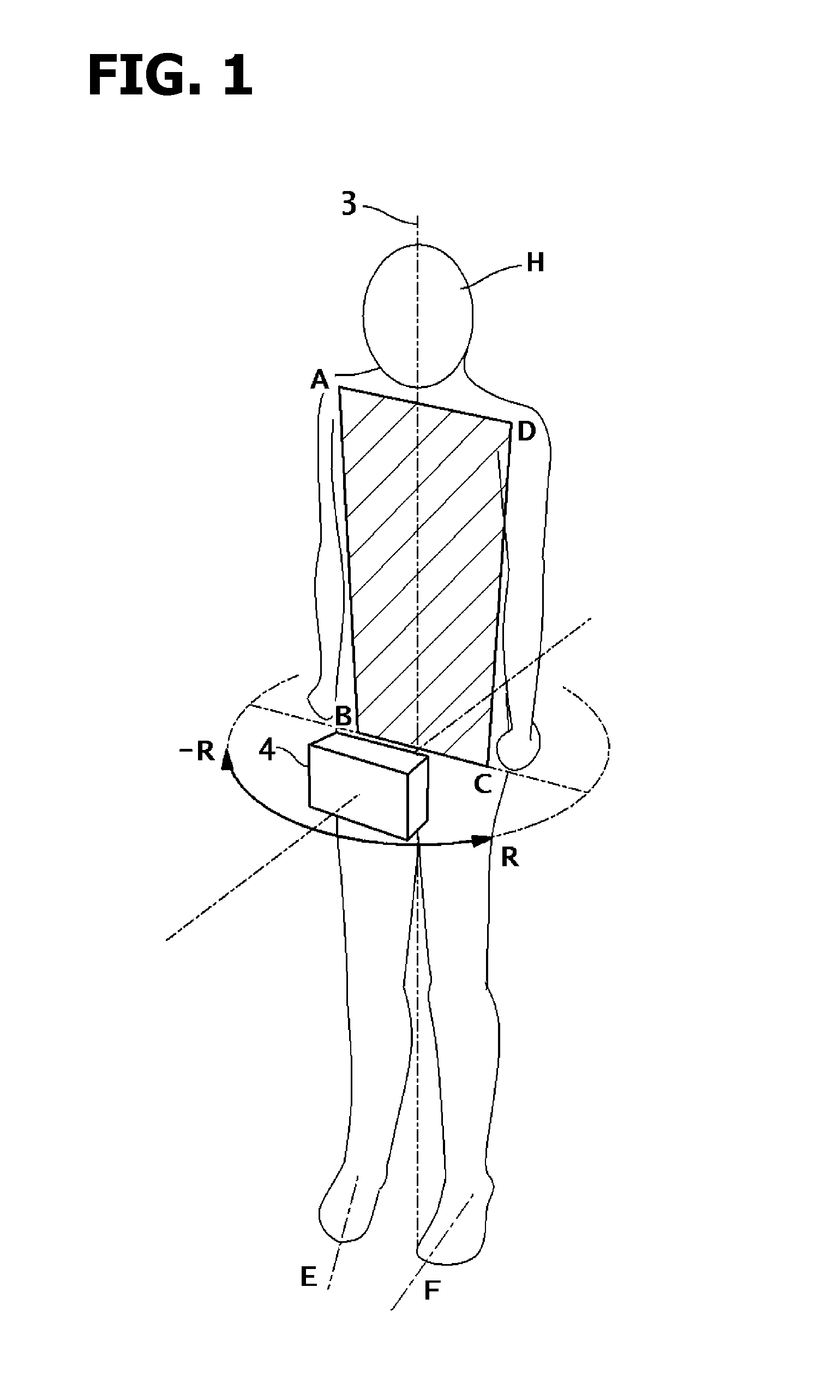 Training apparatus