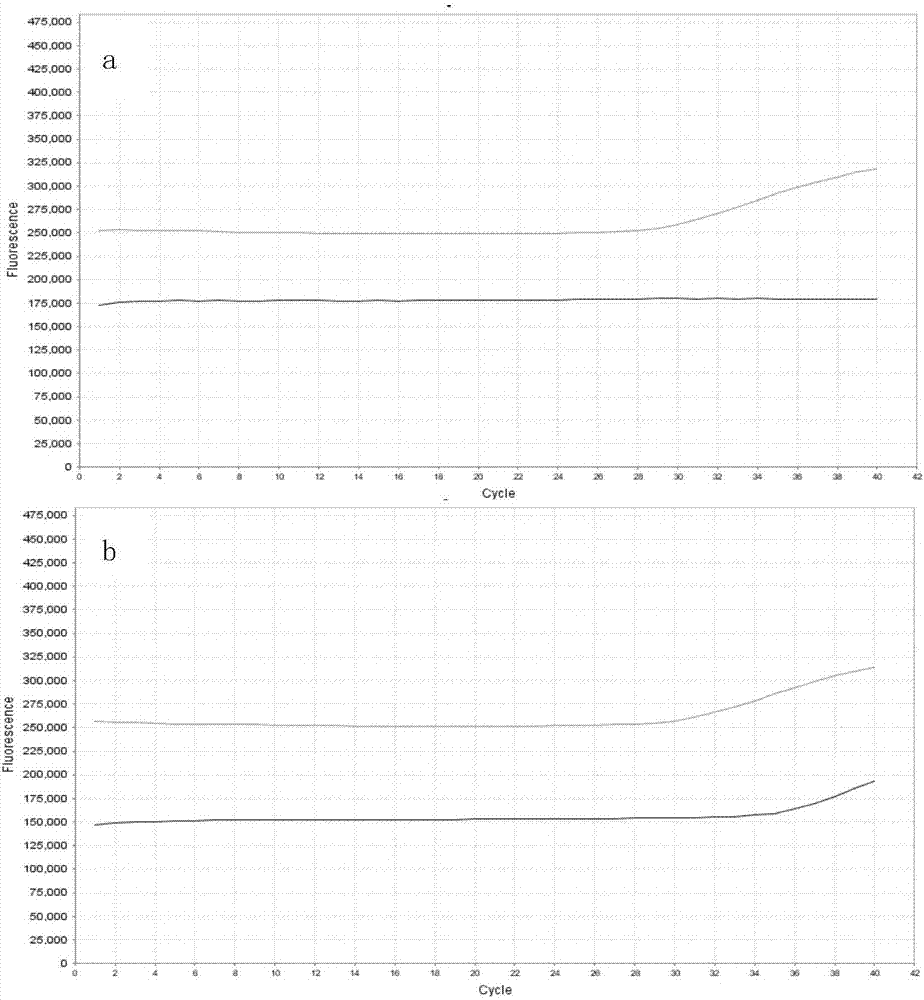 Detection primer for methylation degree of related genes of cervical cancer, probe, kit and application thereof