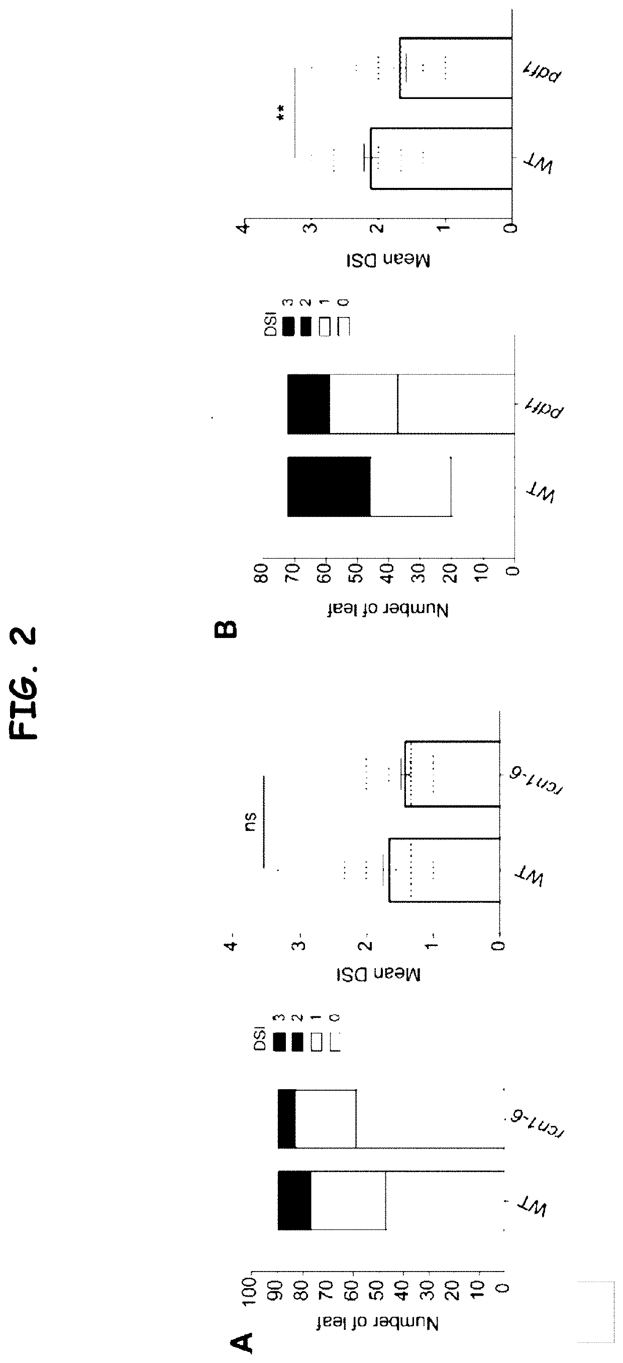 Plant disease resistance to phytophthora