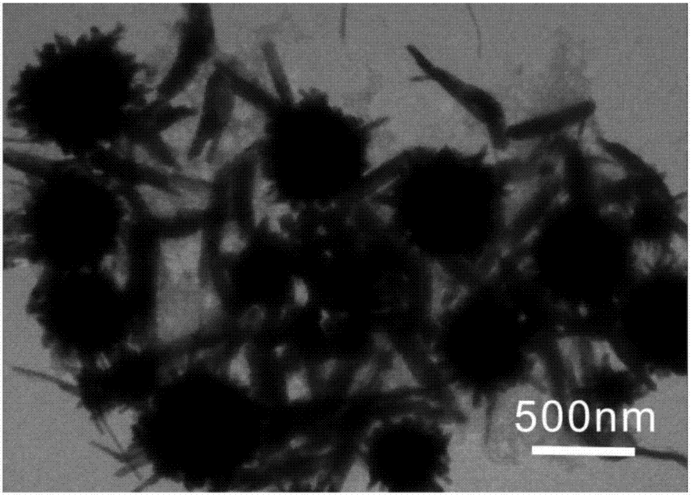 Preparing method of sea-urchin-shaped nanometer lead telluride and prepared and obtained sea-urchin-shaped nanometer lead telluride