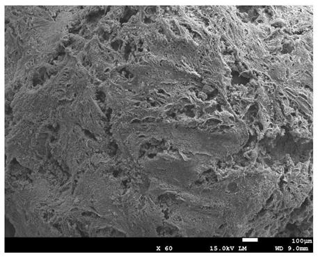A kind of regenerated cellulose pellet containing flower-shaped nano zno and its preparation method