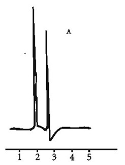 Uncaria slow release capsule preparation and preparation method thereof