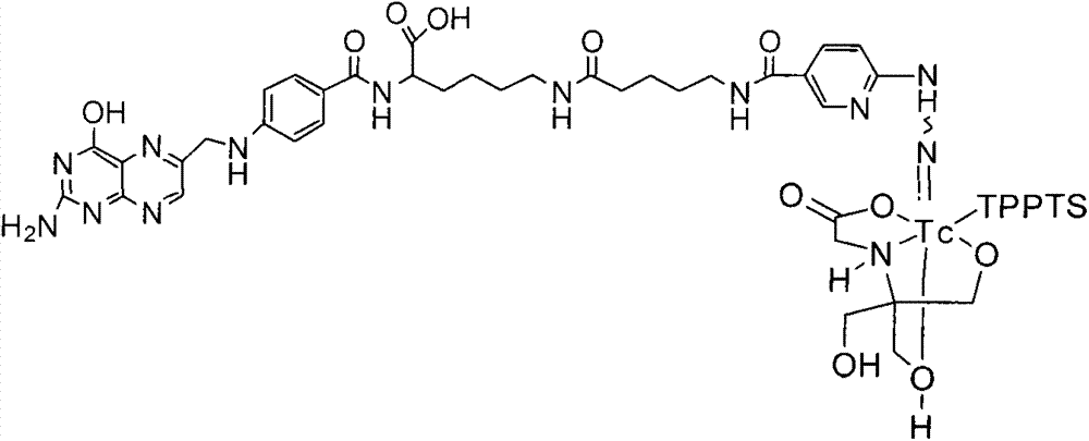 Preparation method and application for 99mTc-labelled hydrazino-nicotinamide-5-aminopentanoic acid-pteroyl lysine complex