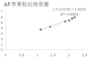 3-coumarin formic acid compound and its application as preparation of plant pathogenic bacteria antibacterial agent