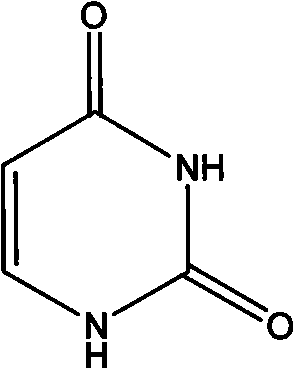 Method for catalyzing and synthesizing uridine phosphinylidyne compound in an oriented way