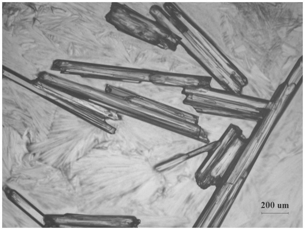 A kind of n,2,3-trimethyl-2-isopropylbutanamide crystal with short rod shape and its crystallization process