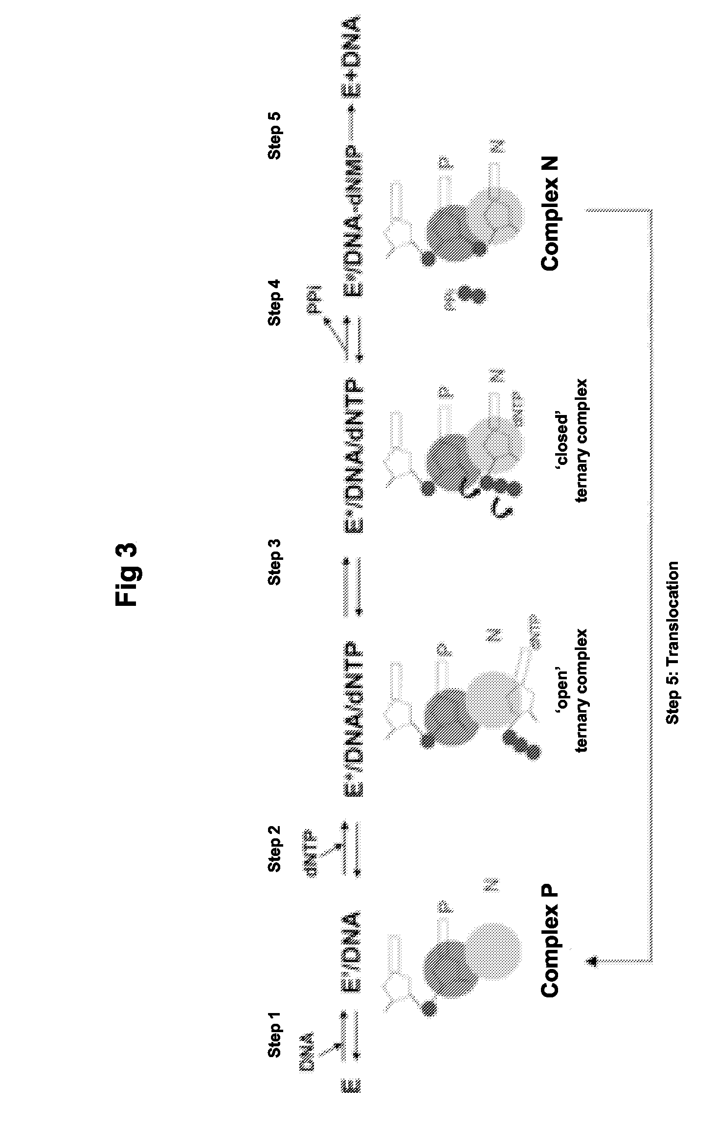 Compounds useful in the treatment of HIV