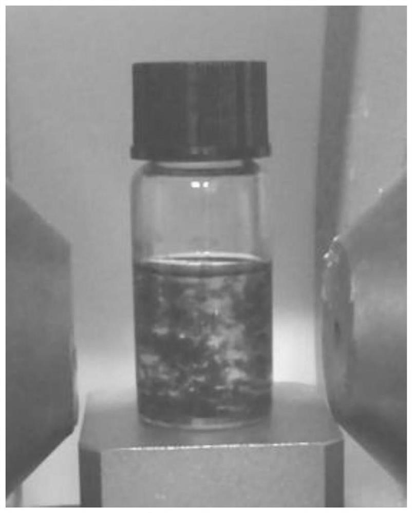 Preparation method of organic chiral ferromagnetic nanocrystals