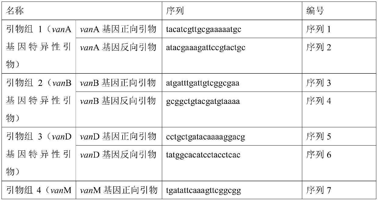 Specific primer combination and probe combination for detecting four glycopeptide drug resistance genes in enterococcus bacteria and application thereof