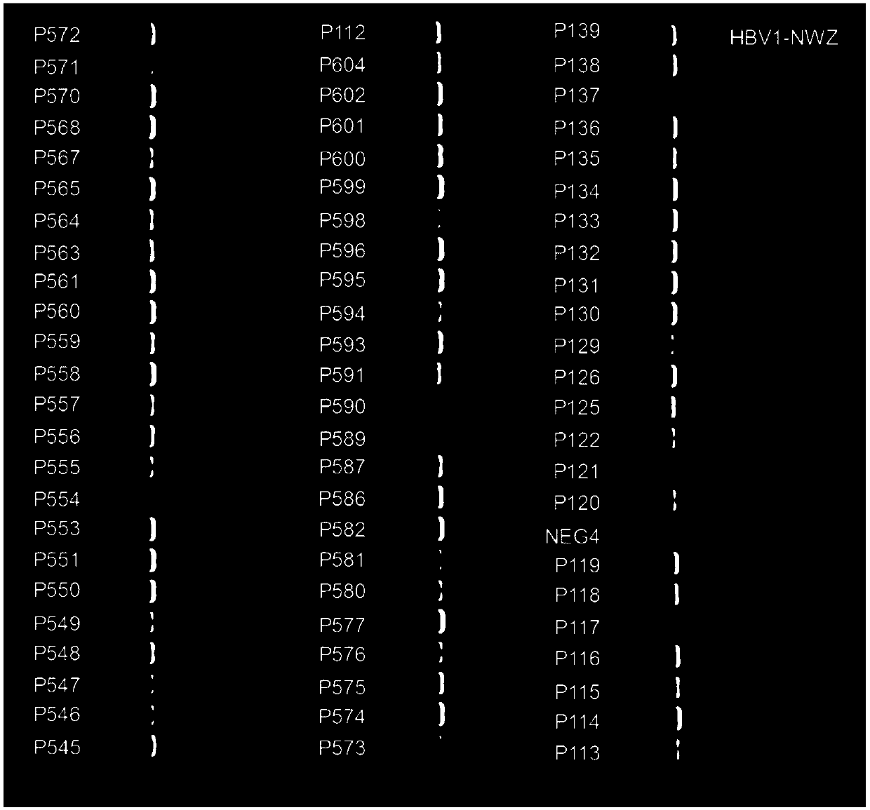 PCR (polymerase chain reaction) primer system for detection of HBV (hepatitis b virus) nucleoside analog drug-resistant mutation sites, method and application