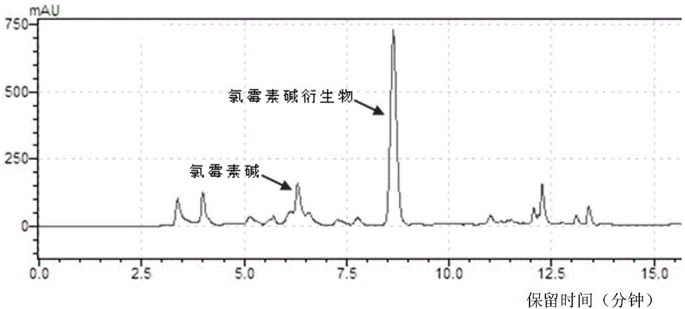 Immunoaffinity adsorbent enriched with chloramphenicol and/or chloramphenicol base and its preparation method and application