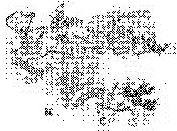 Systems, methods, and compositions for targeted nucleic acid editing