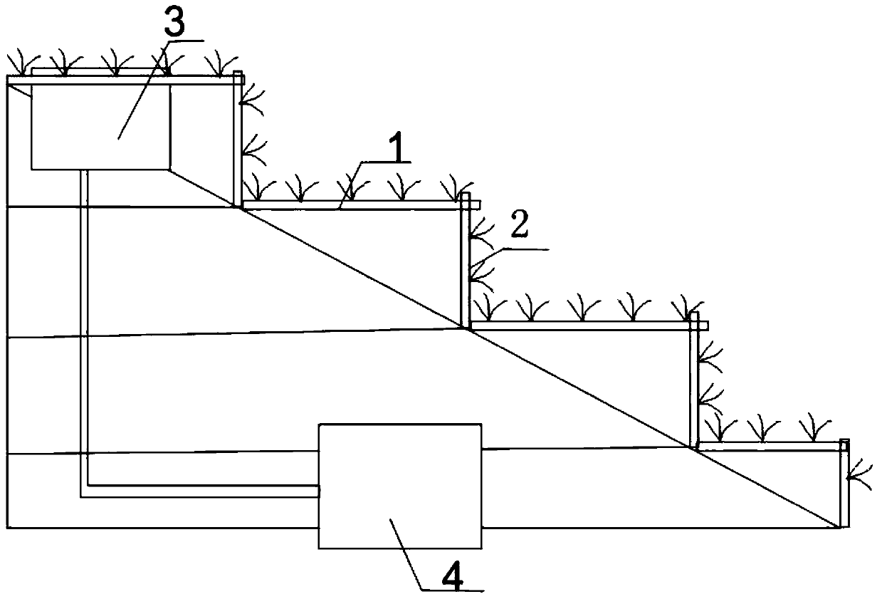 Construction method of three-dimensional agro-ecosystem on sloping land