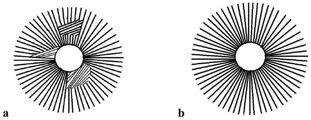 Personalized calcium phosphate biomimetic bone tissue scaffold and its preparation method and application