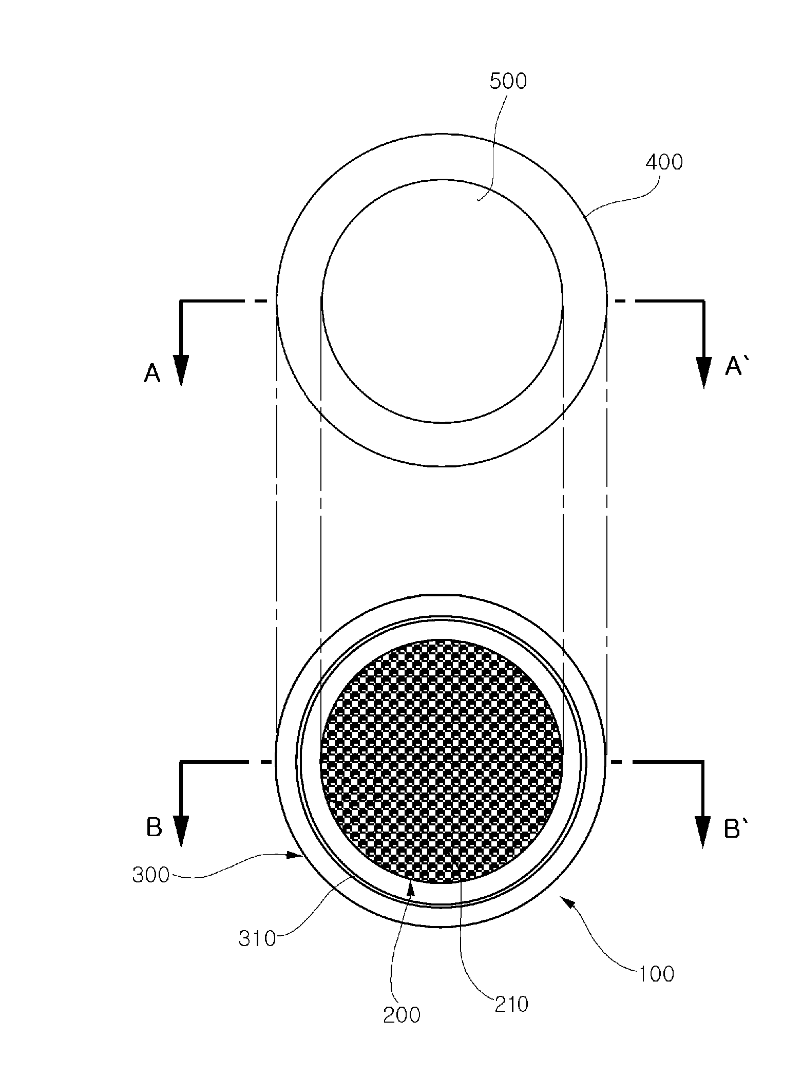 Apparatus for fixing plastic sheet and method of fabricating NANO pattern on plastic sheet using the same