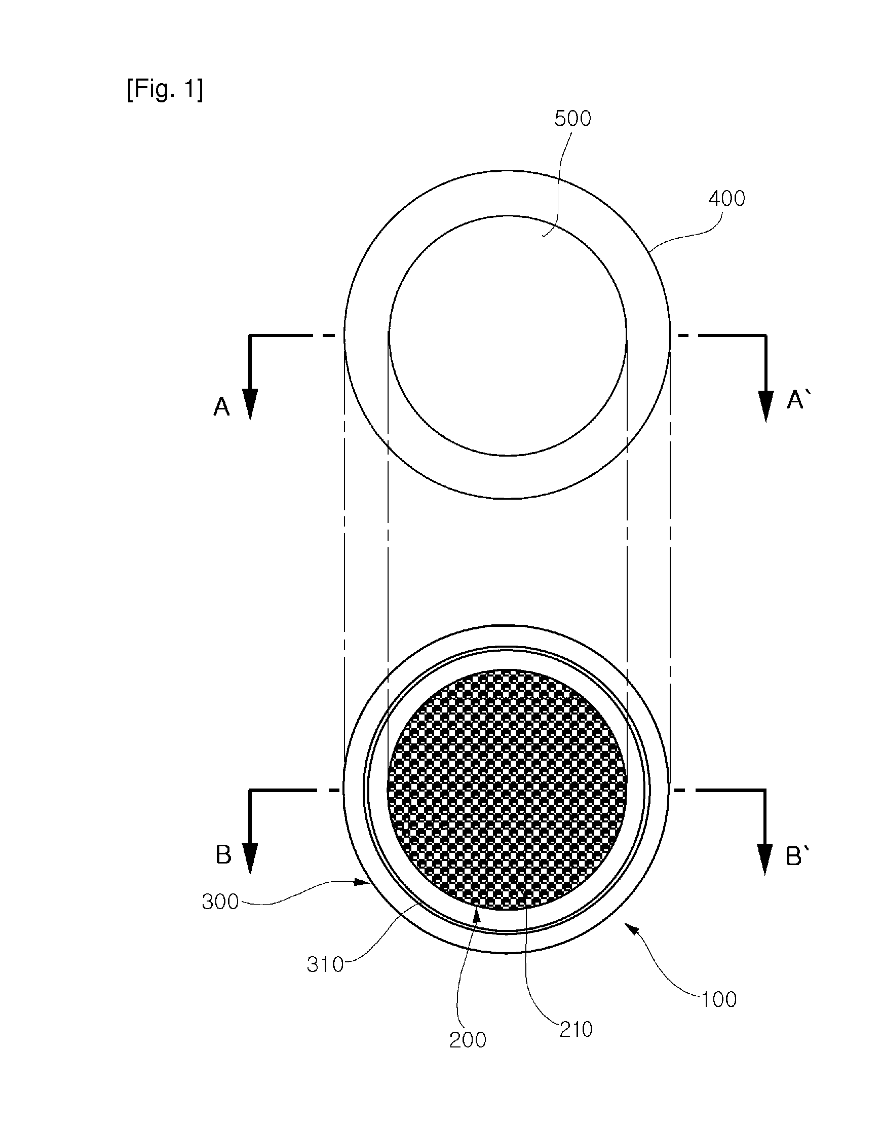 Apparatus for fixing plastic sheet and method of fabricating NANO pattern on plastic sheet using the same