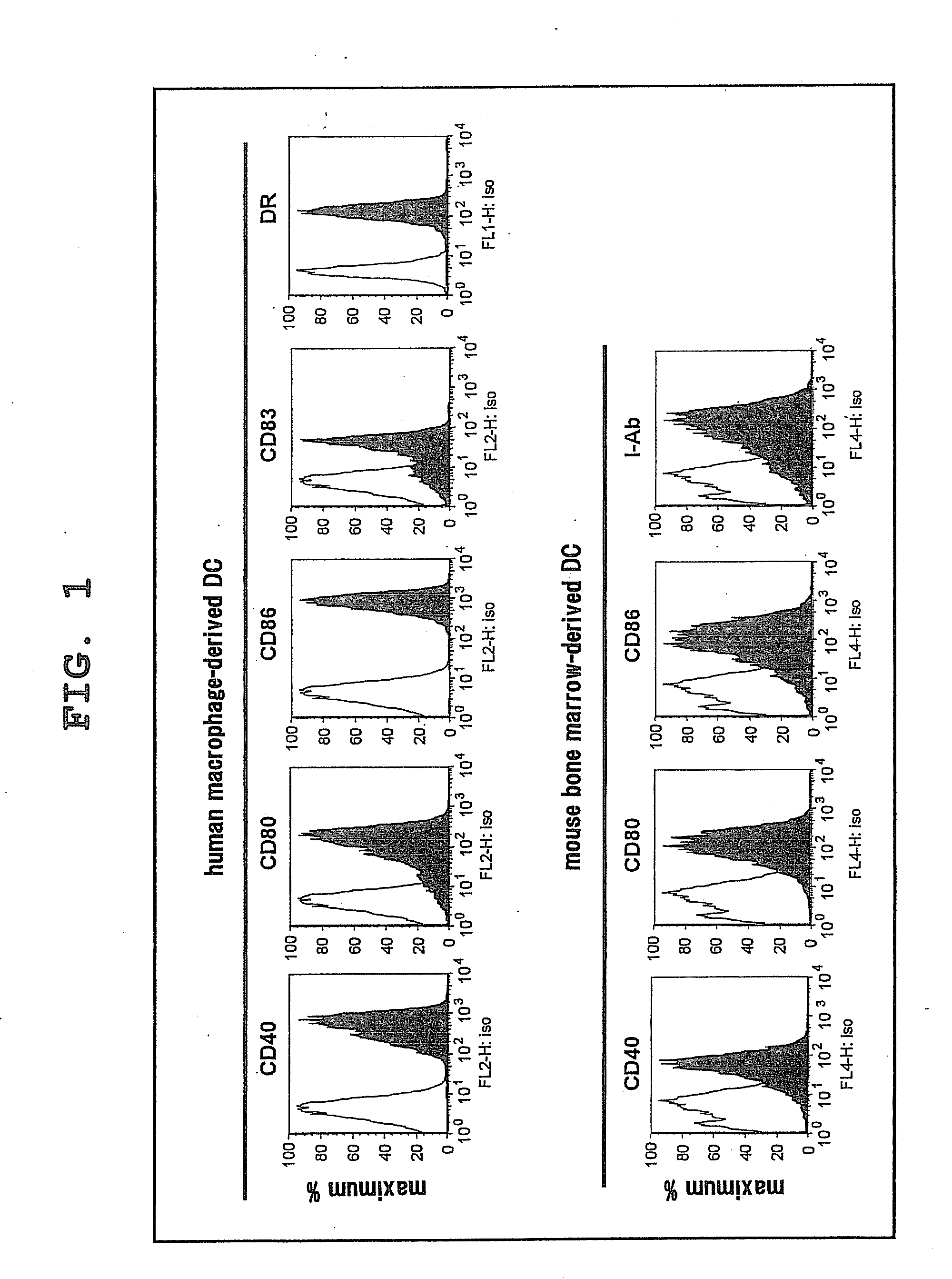 Method for analysis of nkt cell function