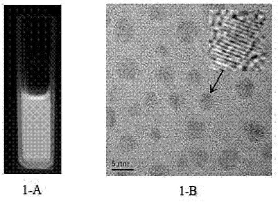 Green synthesis method of germanium quantum dot in solution, germanium quantum dot and application thereof in biological imaging