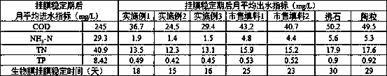 Microbial filler for modifying waste lotus seedpod shells and preparation method thereof