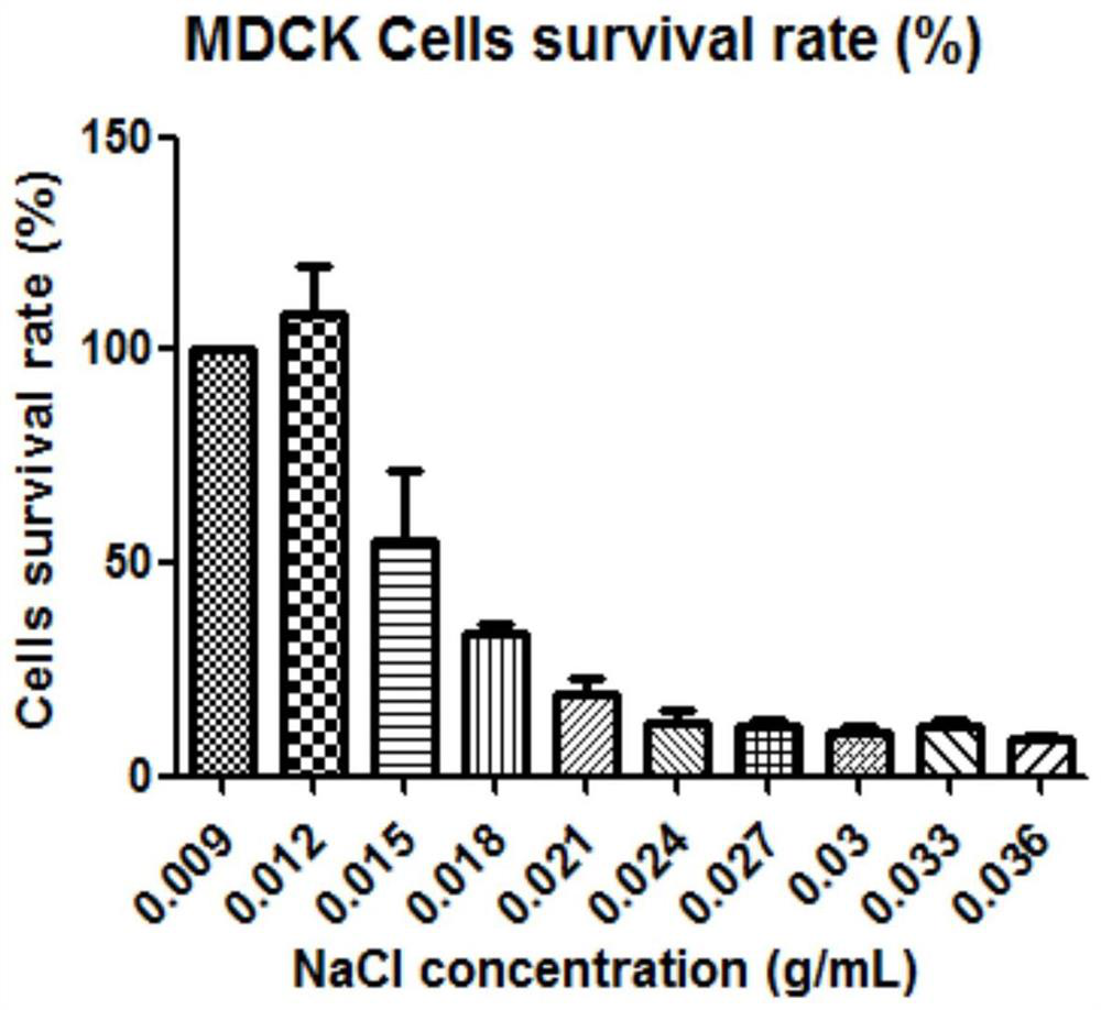 A kind of cell screening model of diuretic activity drug and its establishment method and application