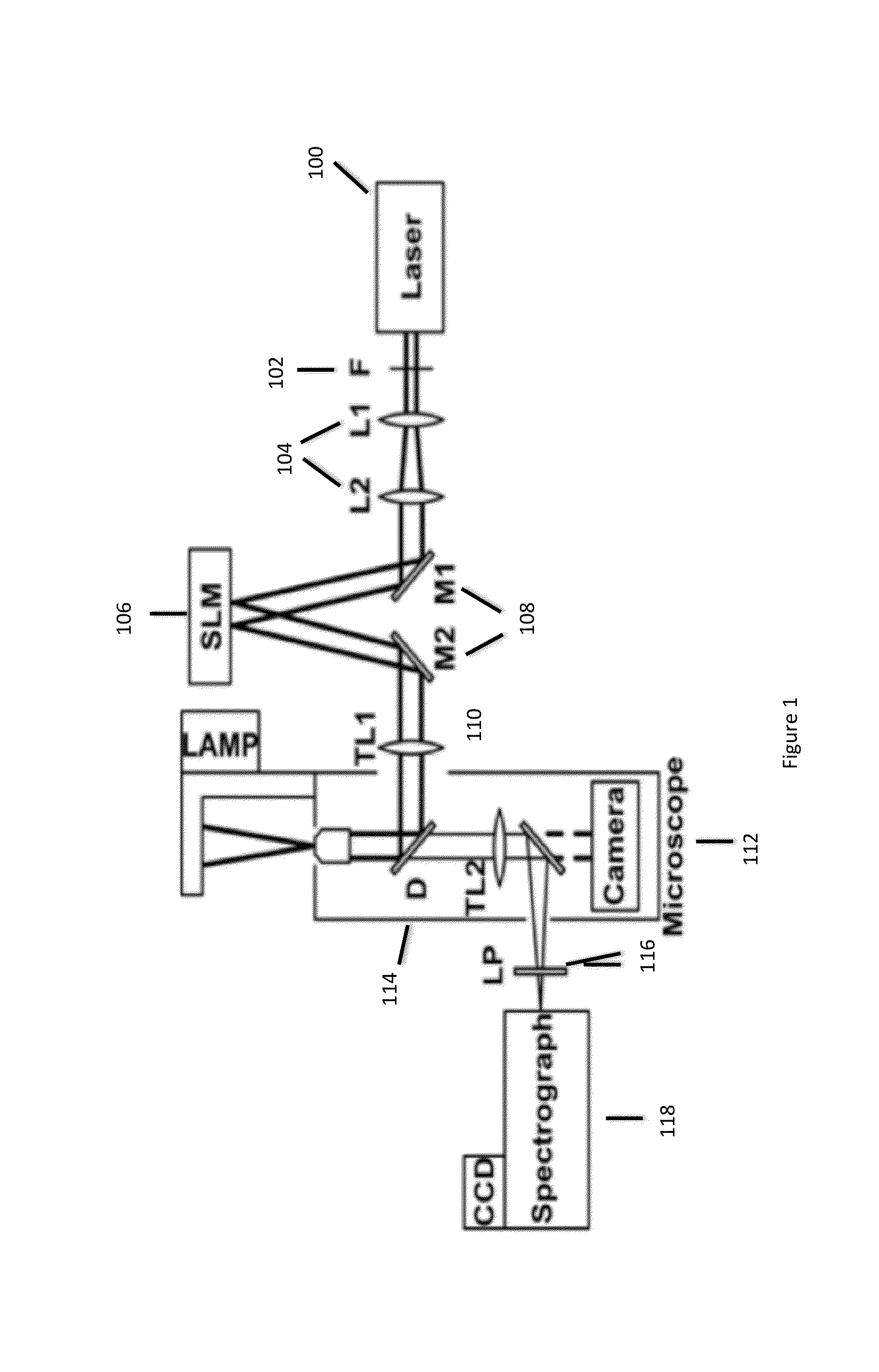 Method and system for active-illumination parallel raman microspectroscopy