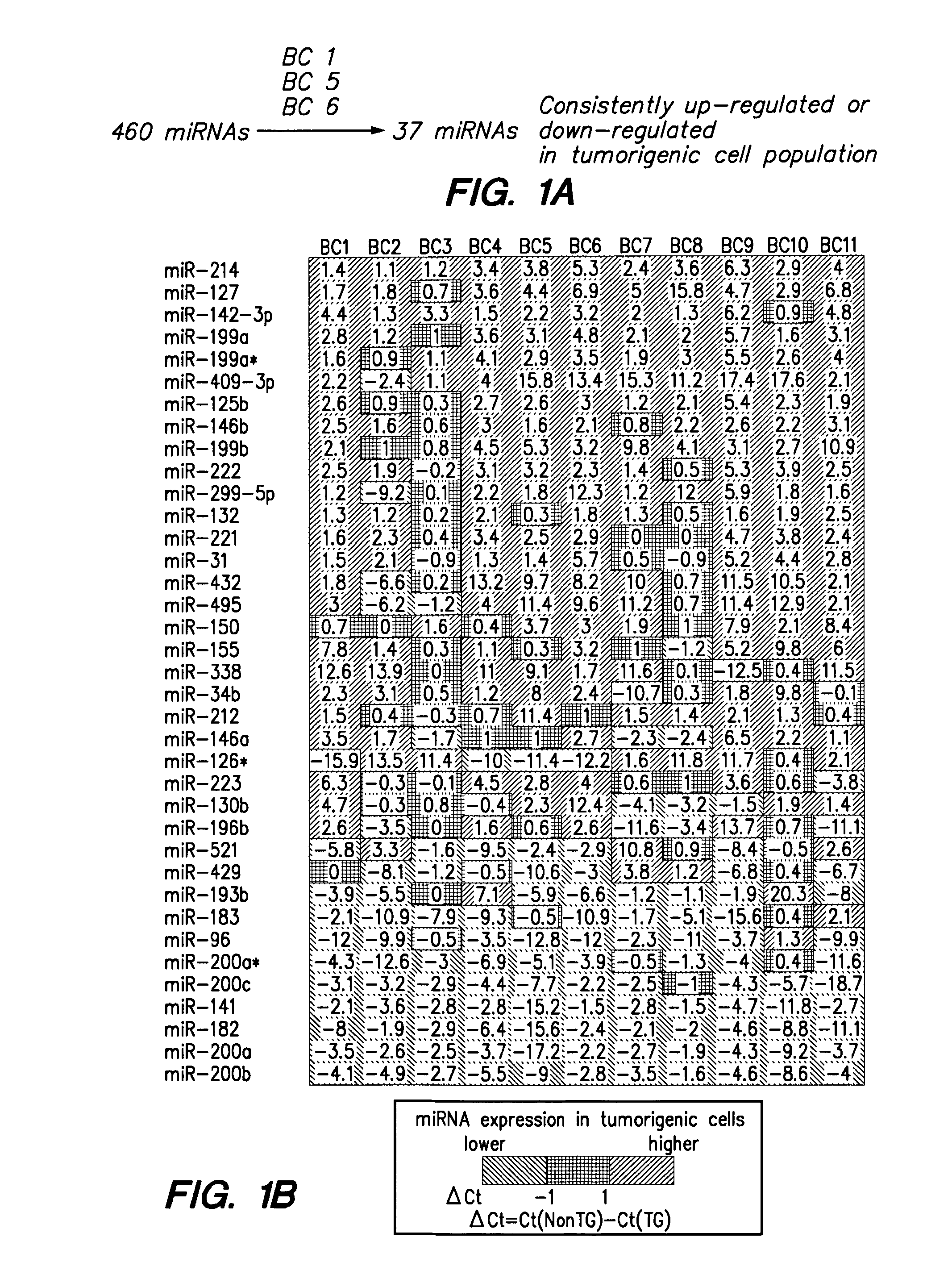 Methods and Compositions Relating to Carcinoma Stem Cells