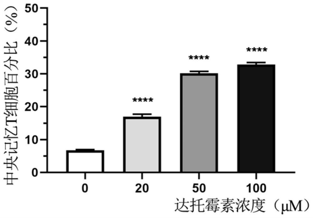 Culture medium for CAR-T (Chimeric Antigen Receptor T cell) culture and application thereof