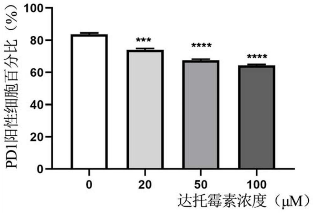 Culture medium for CAR-T (Chimeric Antigen Receptor T cell) culture and application thereof