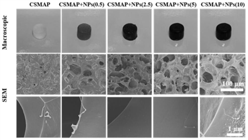 Photo-thermal anti-tumor and osteogenesis-promoting composite material and preparation method thereof