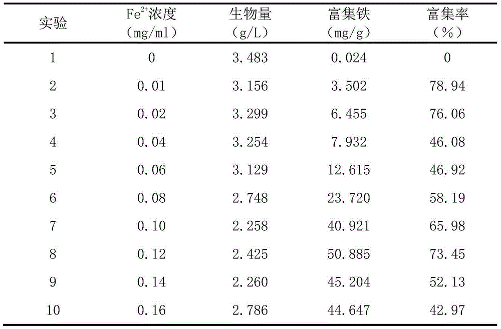 Iron-enriched cordyceps militaris liquid deep fermentation culture medium and culture method thereof