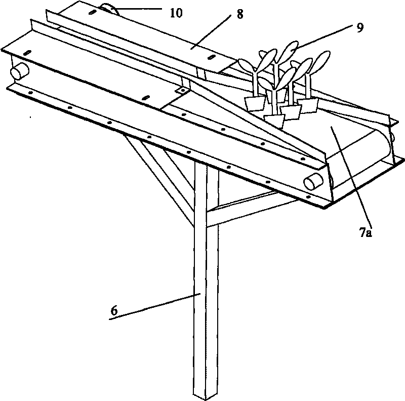 Conveying belt and rotating disc combination type seedling feeding device