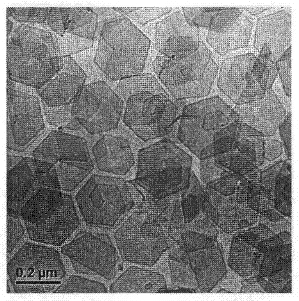 Synthesis method of palladium nano sheet